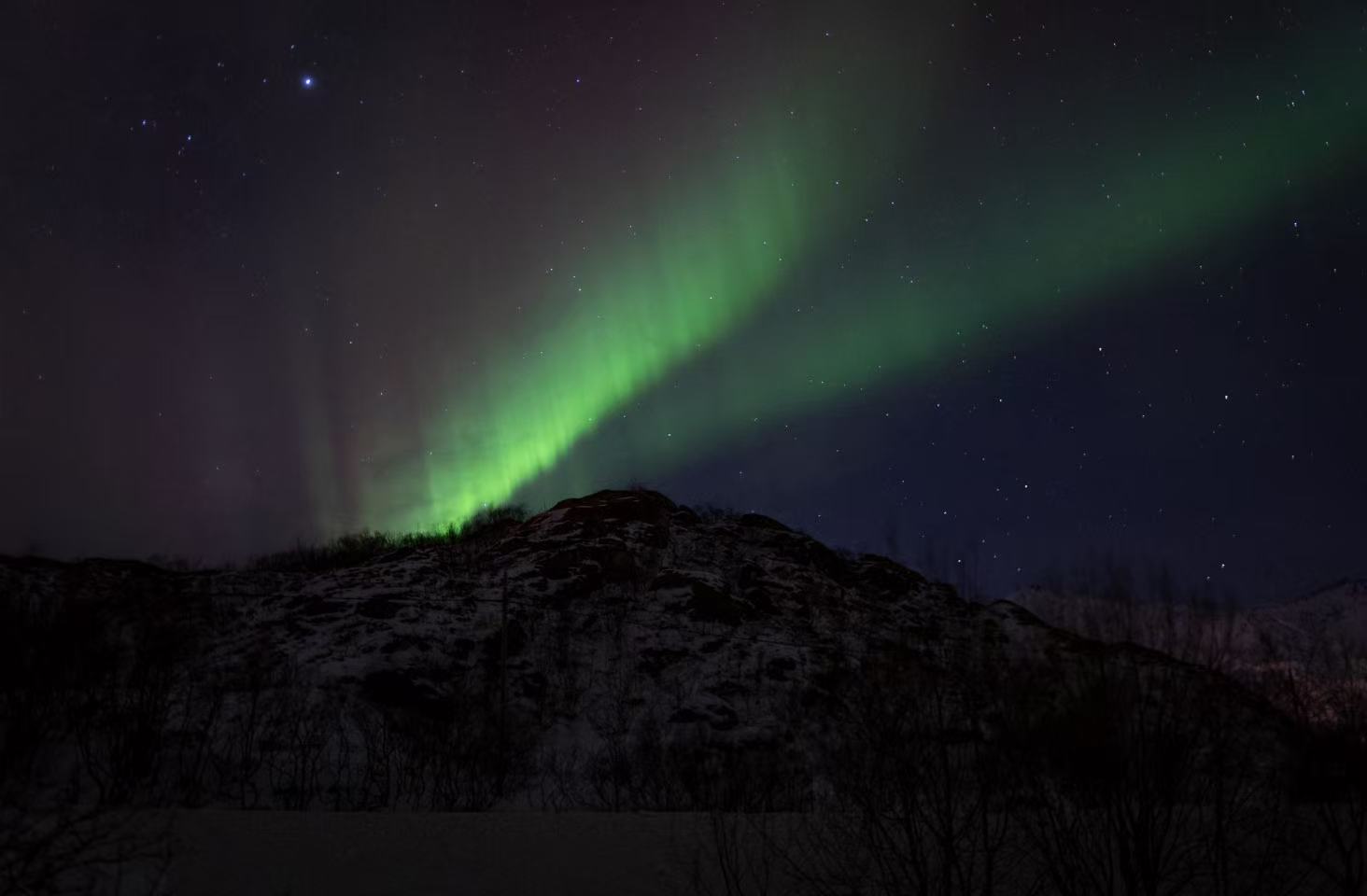 Aurora pillars on the horizon